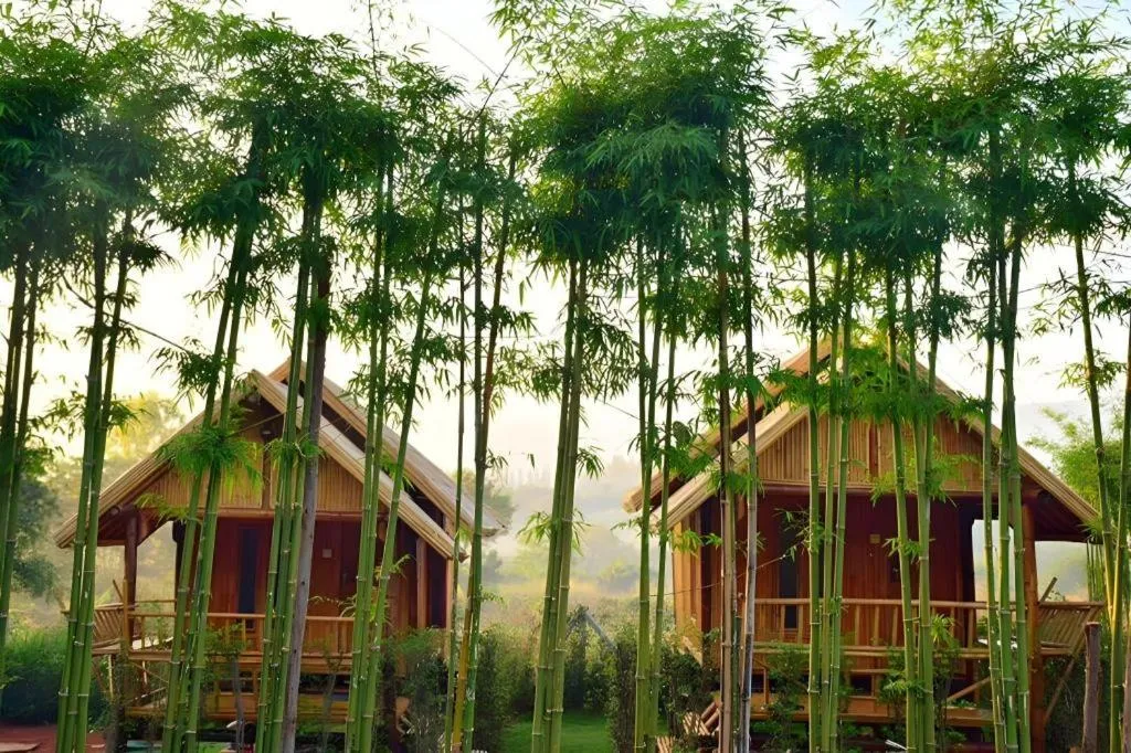 Baansuanpai Noppakao