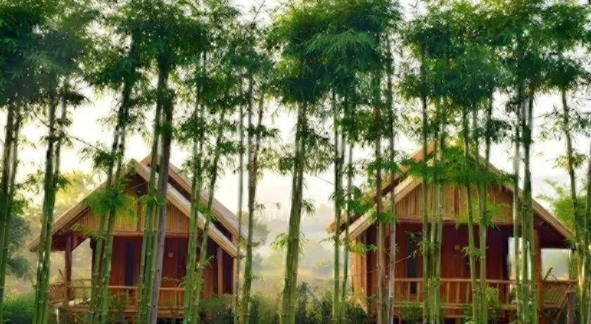 Baansuanpai Noppakao