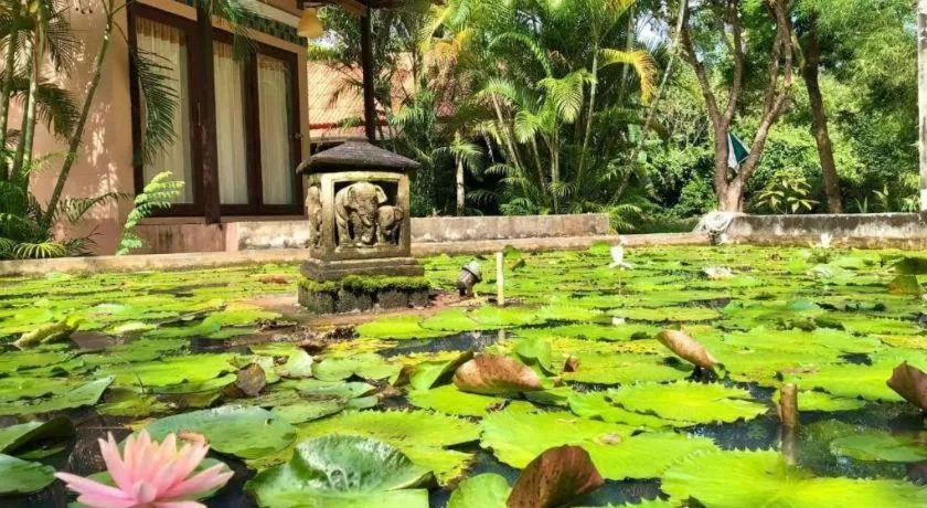 Ko Kut Ao Phrao Beach Resort