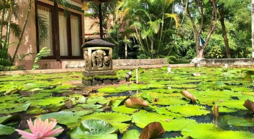 Ko Kut Ao Phrao Beach Resort