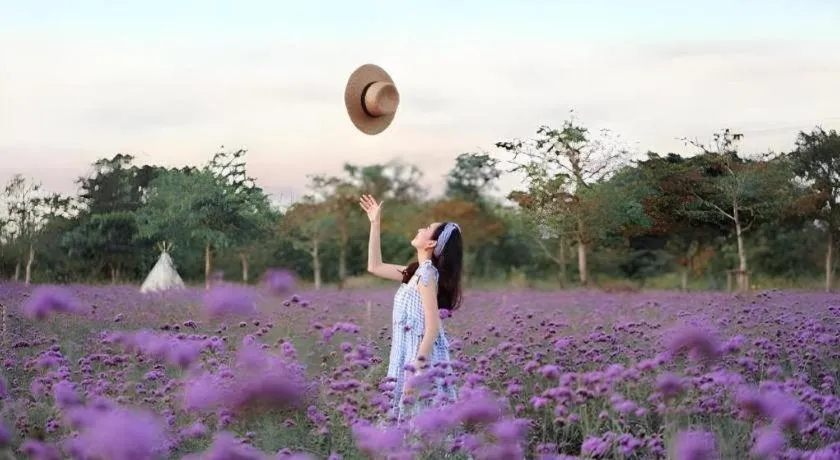 Verona Boutique Hotel - The Verona Co., Ltd