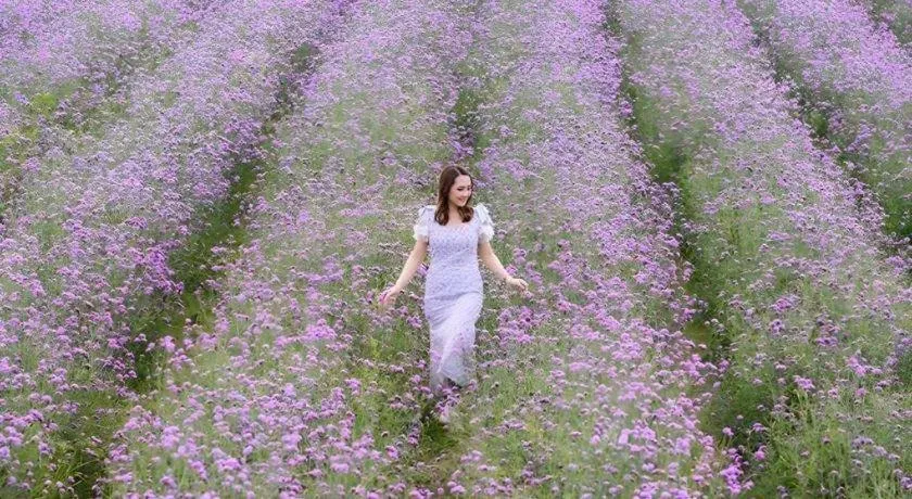 Verona Boutique Hotel - The Verona Co., Ltd