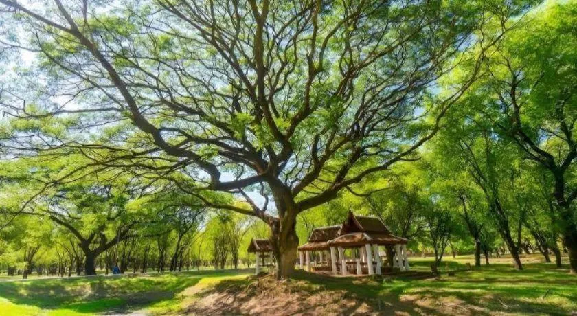 Wake Up at Muang Kao Boutique Hotel