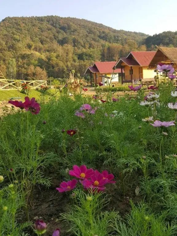 Peisanae Faikeng Resort Peisanae Faikeng Resort