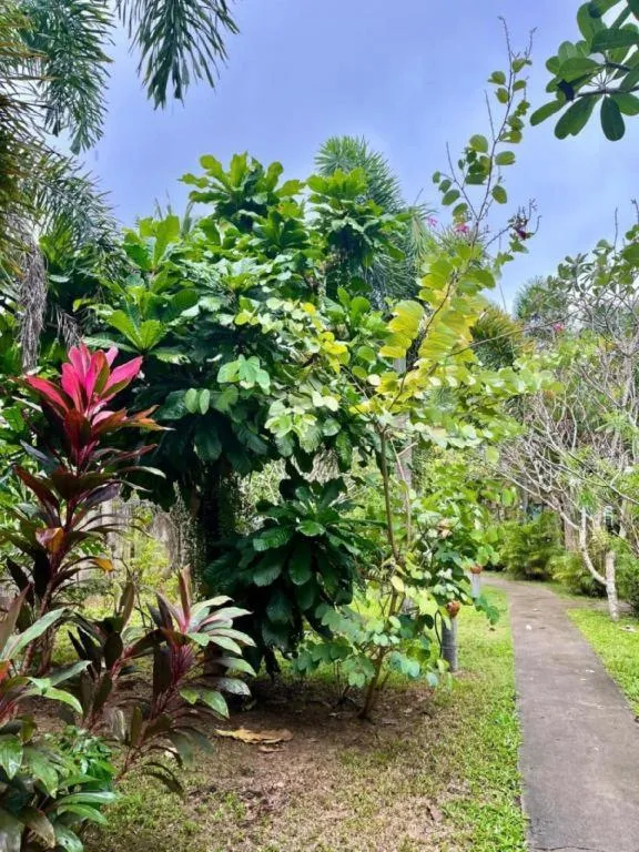 Sanook Sanang Resort