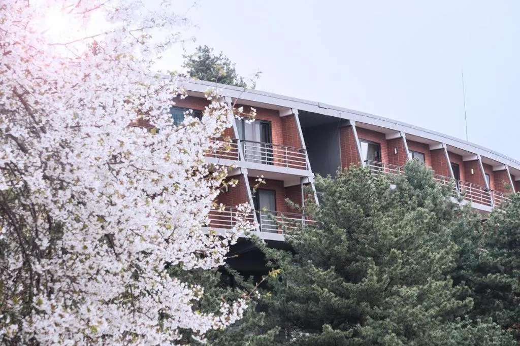 Walkerhill Douglas House (Adults Only)