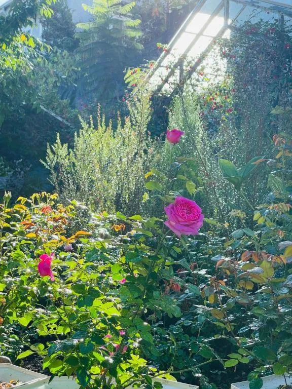 La Roza Dalat Boutique Hotel