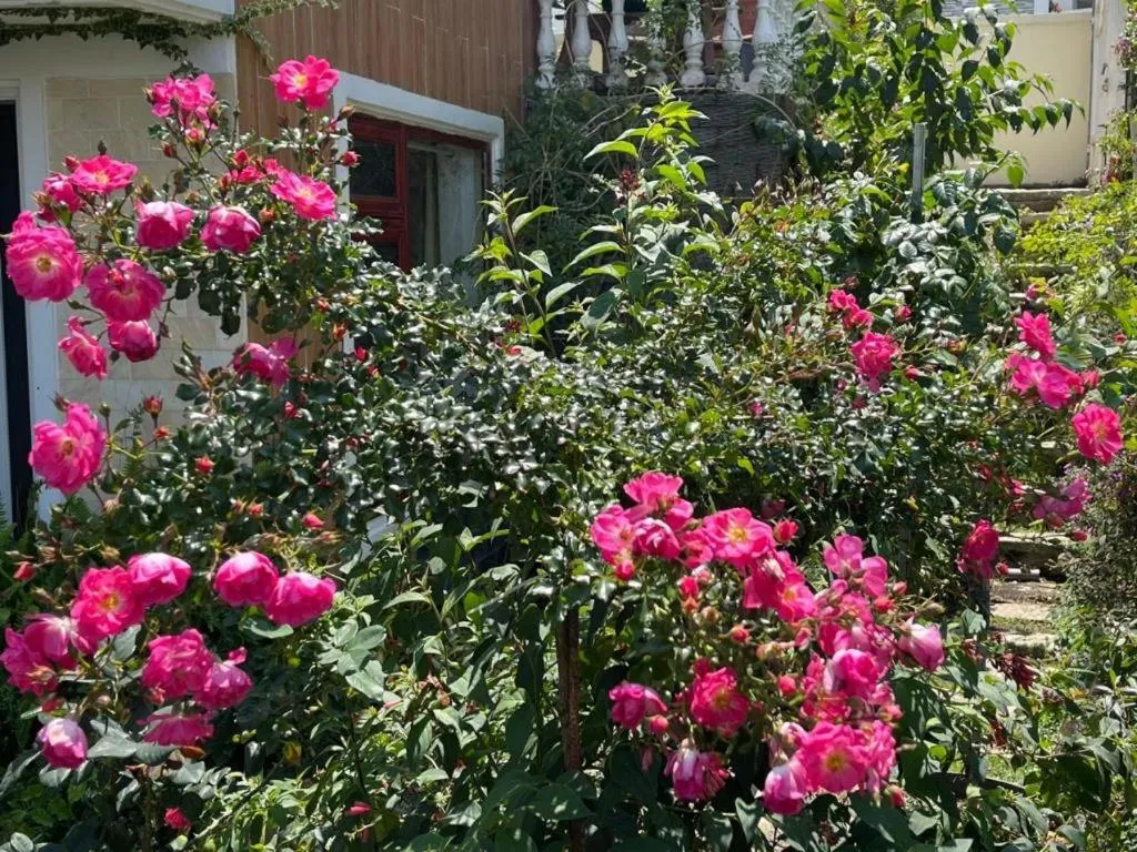 La Roza Dalat Boutique Hotel