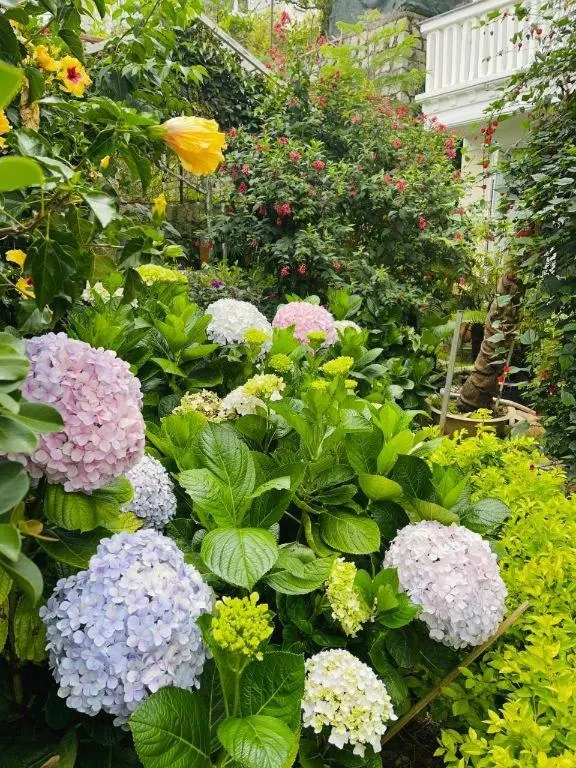 La Roza Dalat Boutique Hotel