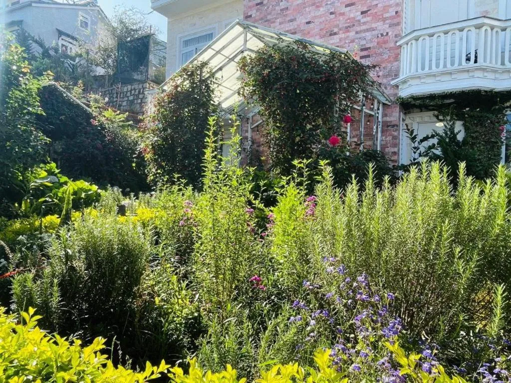 La Roza Dalat Boutique Hotel