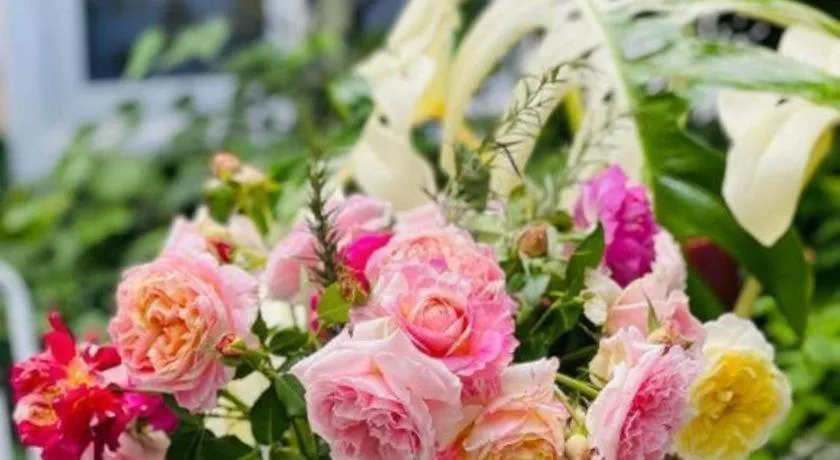 La Roza Dalat Boutique Hotel