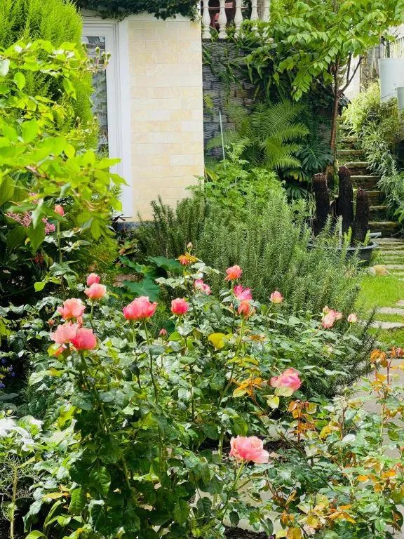 La Roza Dalat Boutique Hotel