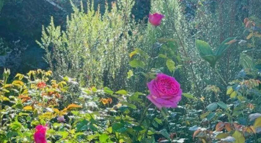 La Roza Dalat Boutique Hotel