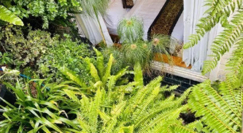 La Roza Dalat Boutique Hotel