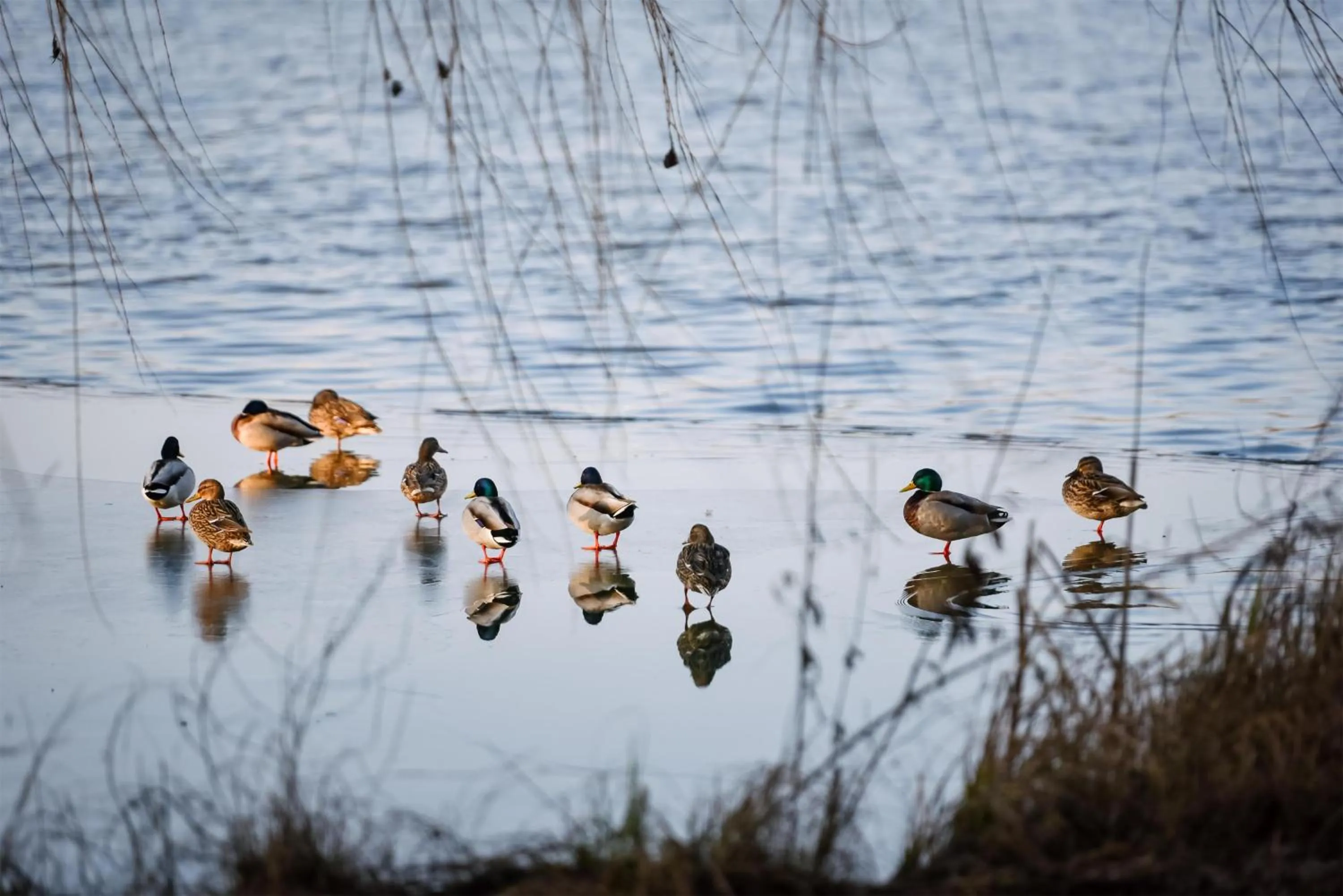 Nearby landmark in Best Western Plus Lakeside Hotel