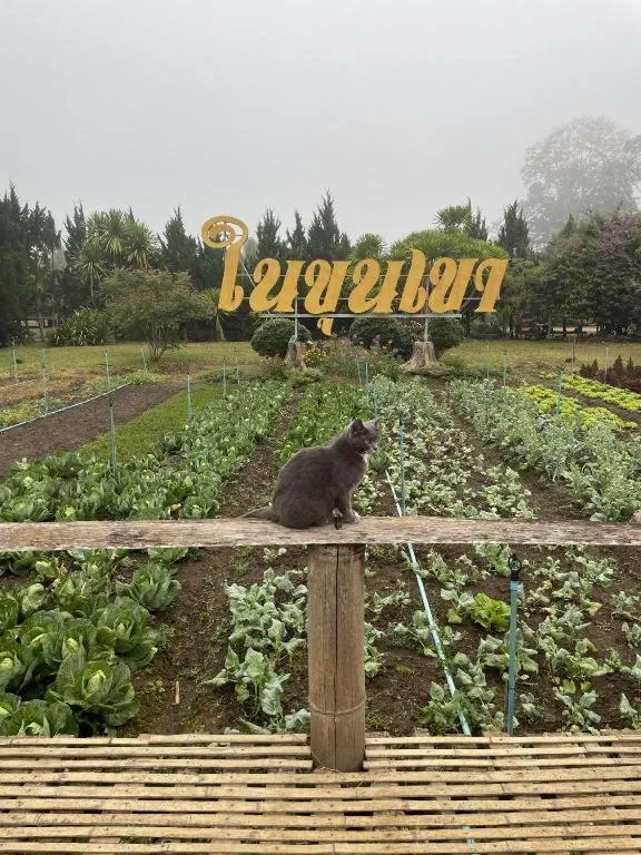 Nai Khun Khao Resort