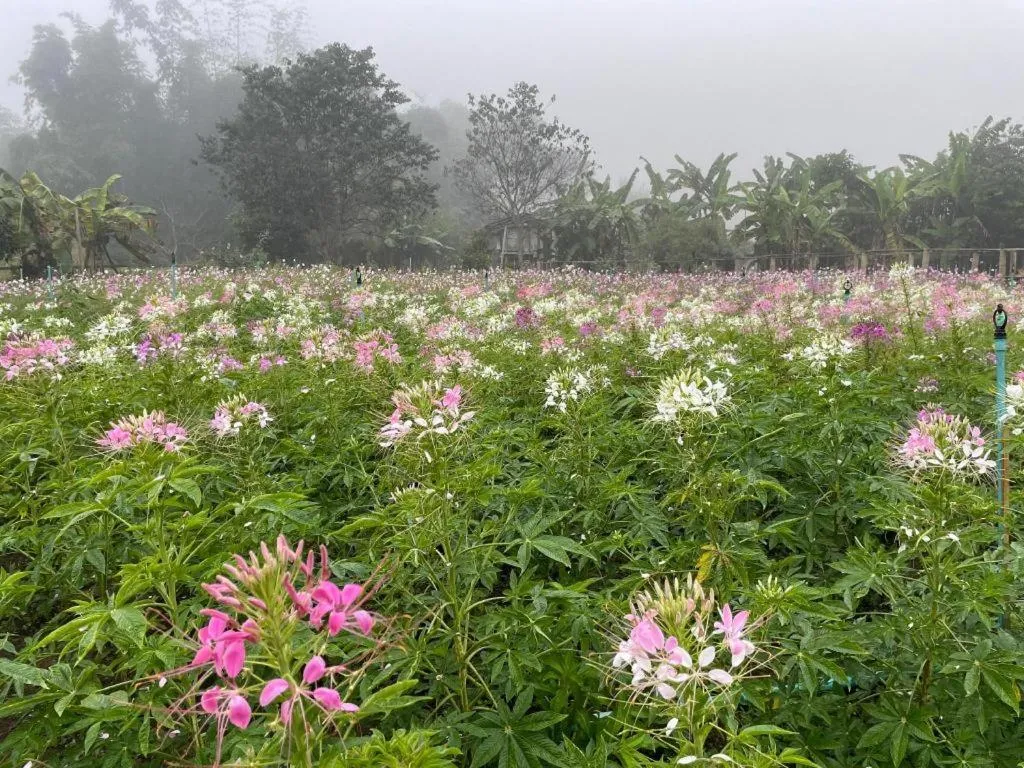 Nai Khun Khao Resort