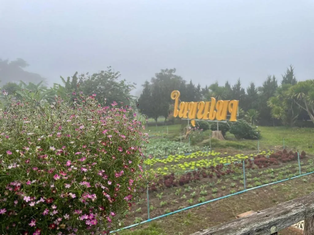 Nai Khun Khao Resort