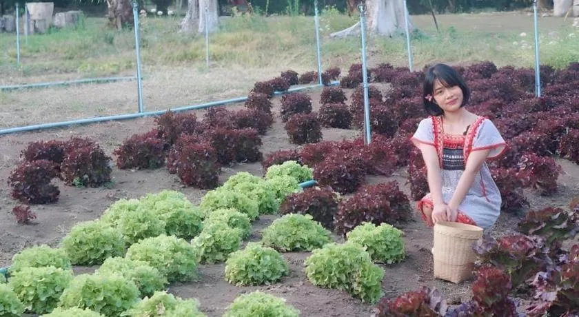 Nai Khun Khao Resort