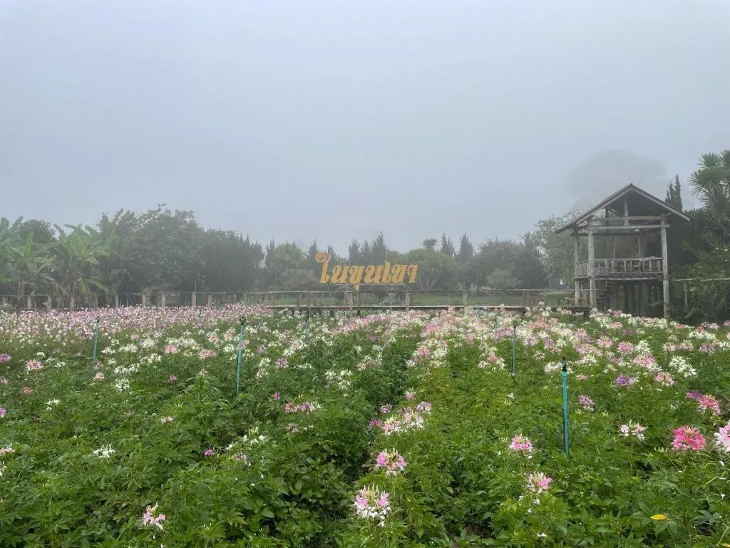 Nai Khun Khao Resort