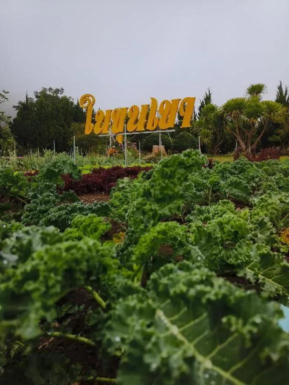 Nai Khun Khao Resort