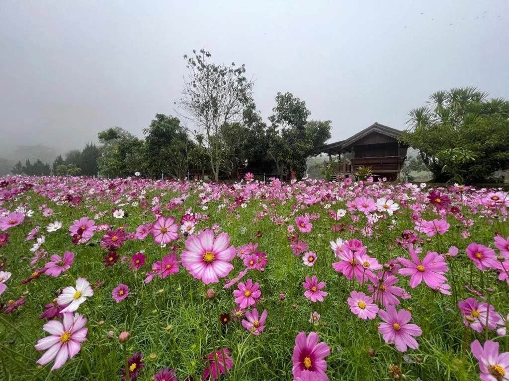 Nai Khun Khao Resort