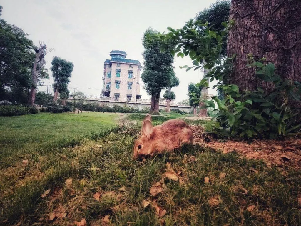 S·dor Hotel Hangzhou Xiaoshan Intertational Airport