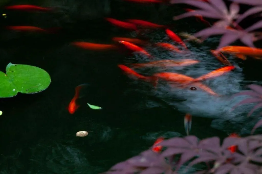 Blossom Hill Inn Suzhou Tanhuafu