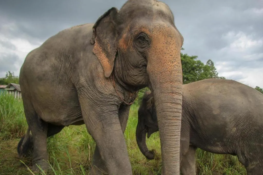 OYO 412 7 Days Hotel