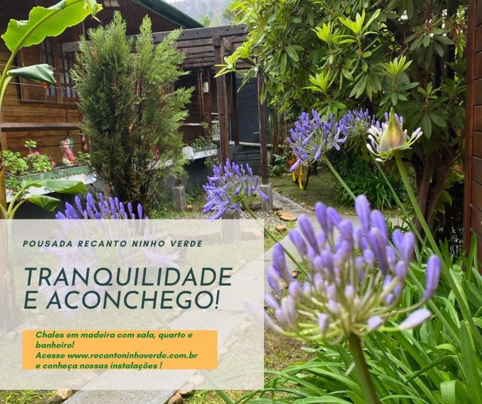 Day in Pousada Recanto Ninho Verde Chalés