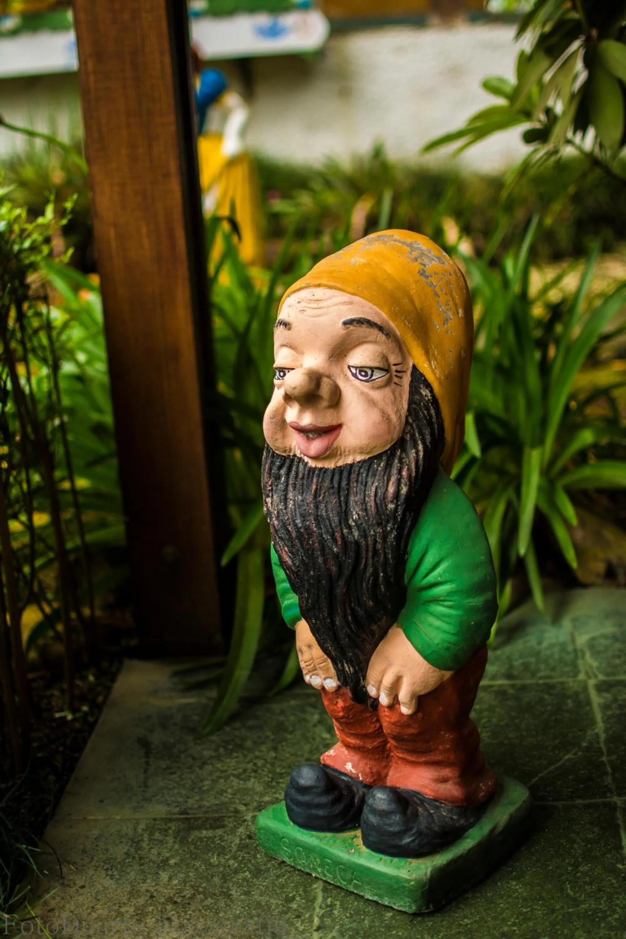 Day in Pousada Recanto Ninho Verde Chalés