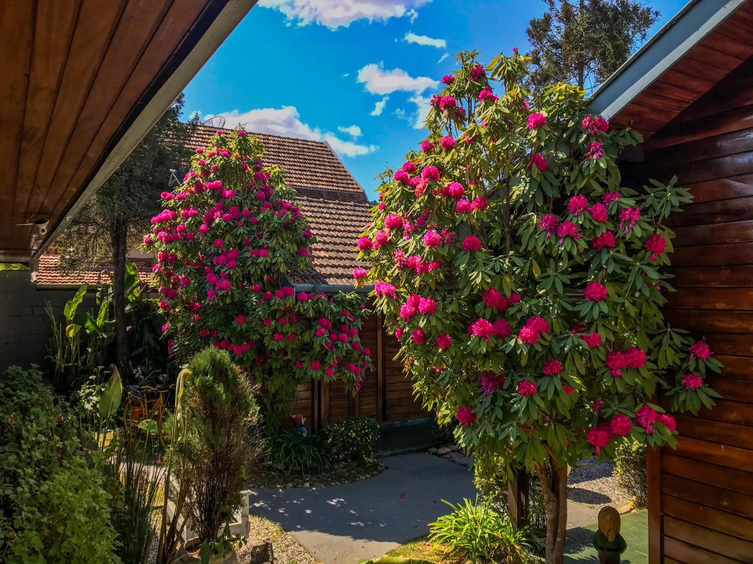 Day in Pousada Recanto Ninho Verde Chalés