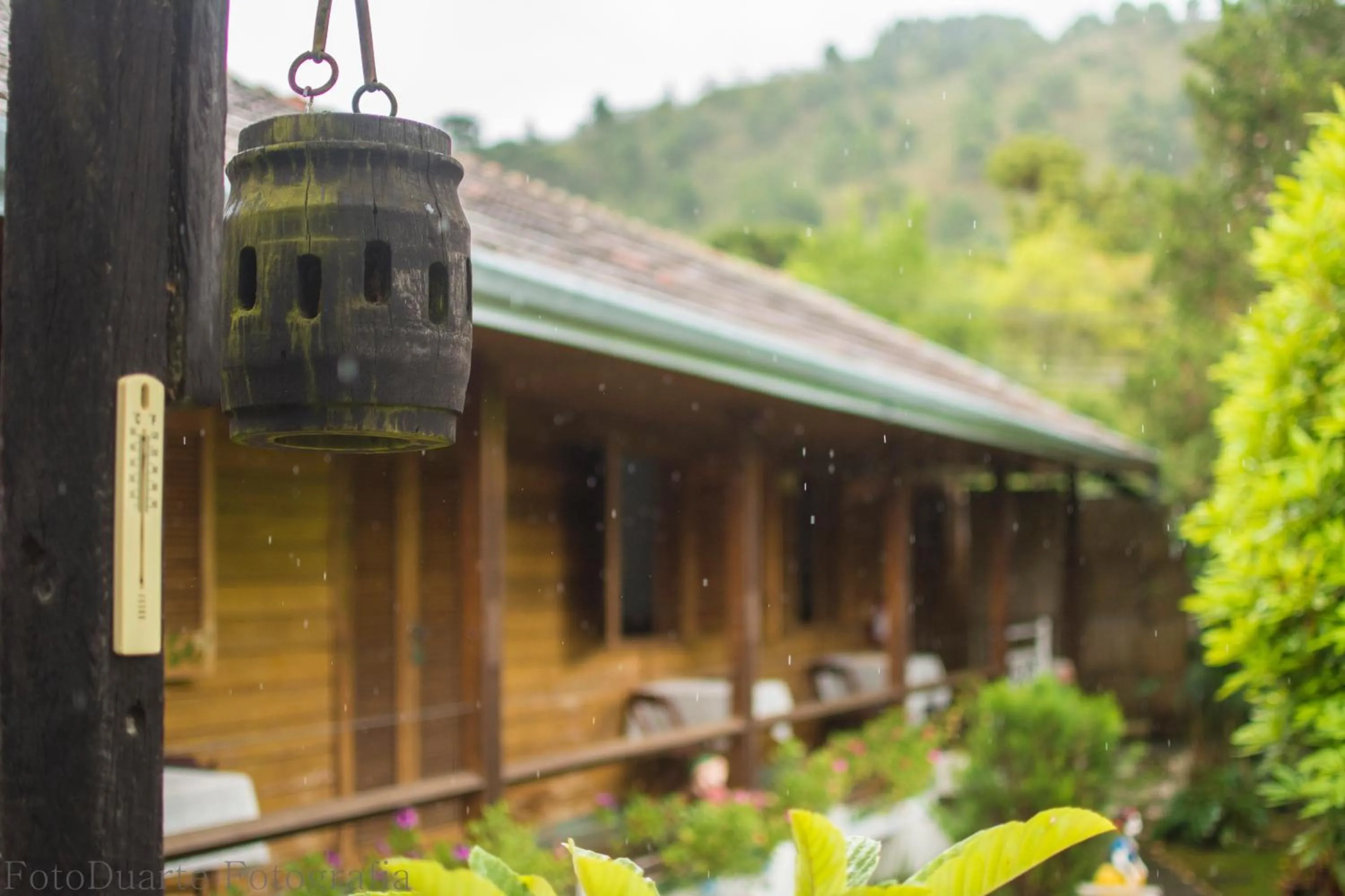 Spring in Pousada Recanto Ninho Verde Chalés