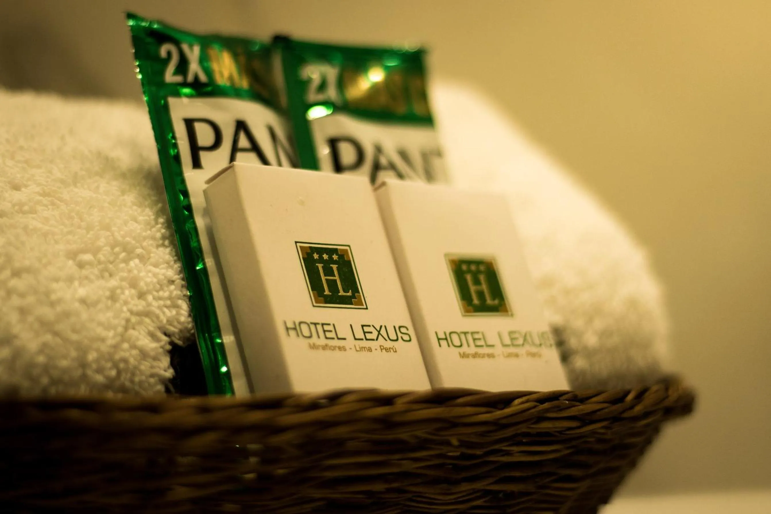 Decorative detail in Hotel Lexus