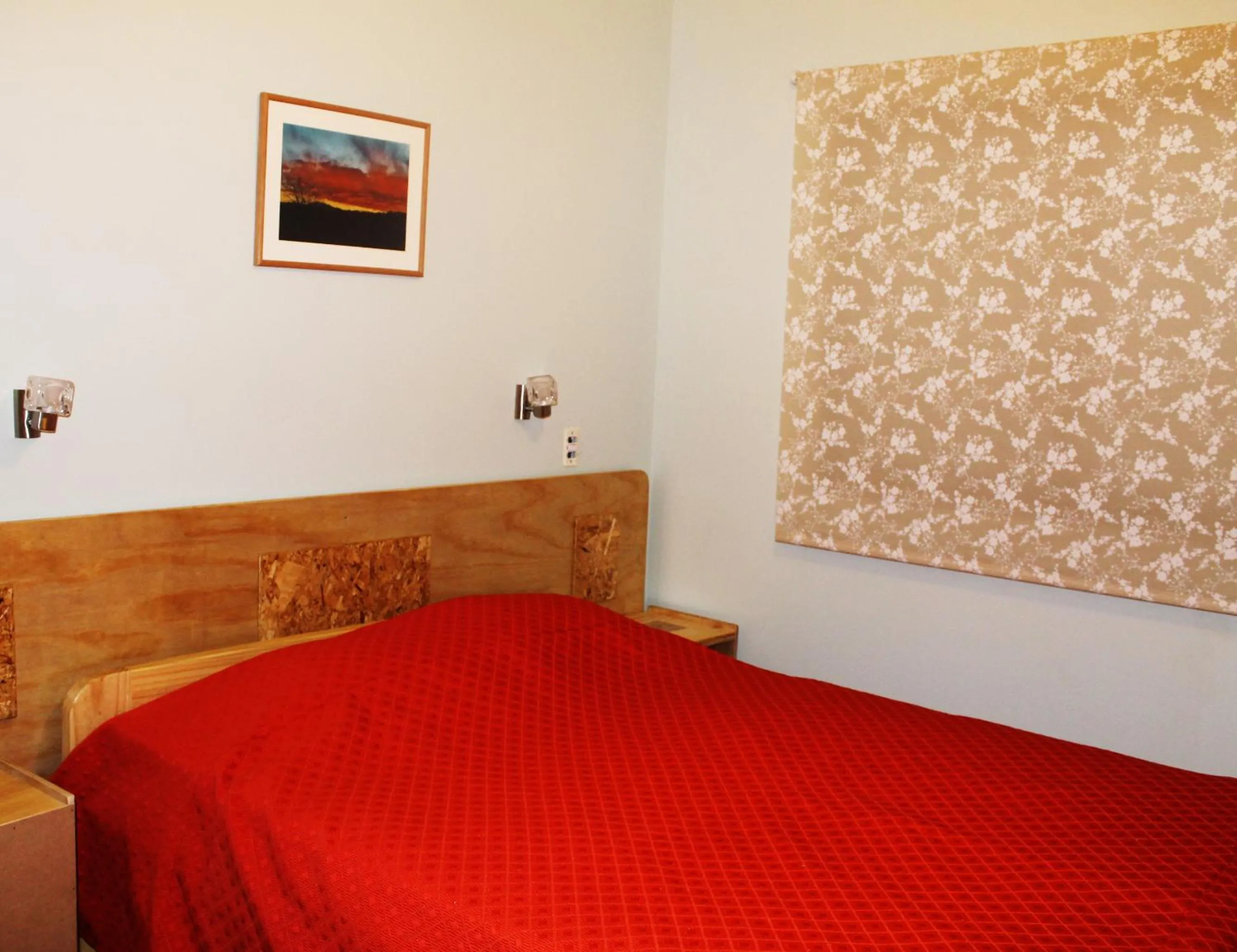 Photo of the whole room, Bed in Ayelen Express