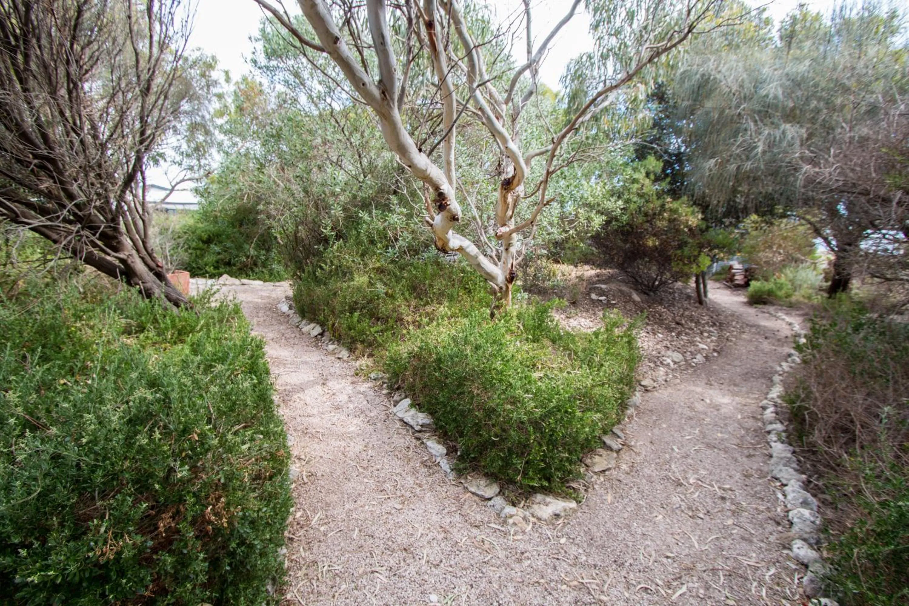 Garden in Coorong Waterfront Retreat