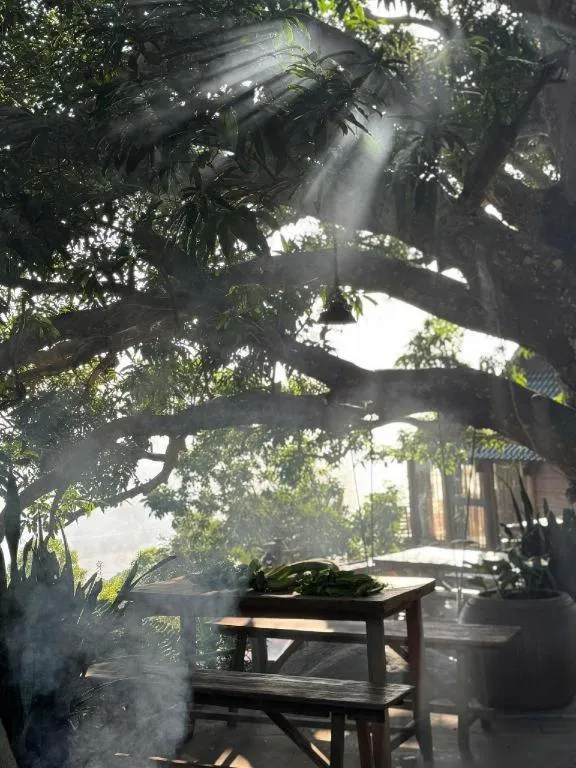 Mango House - Seaview - Homestay.