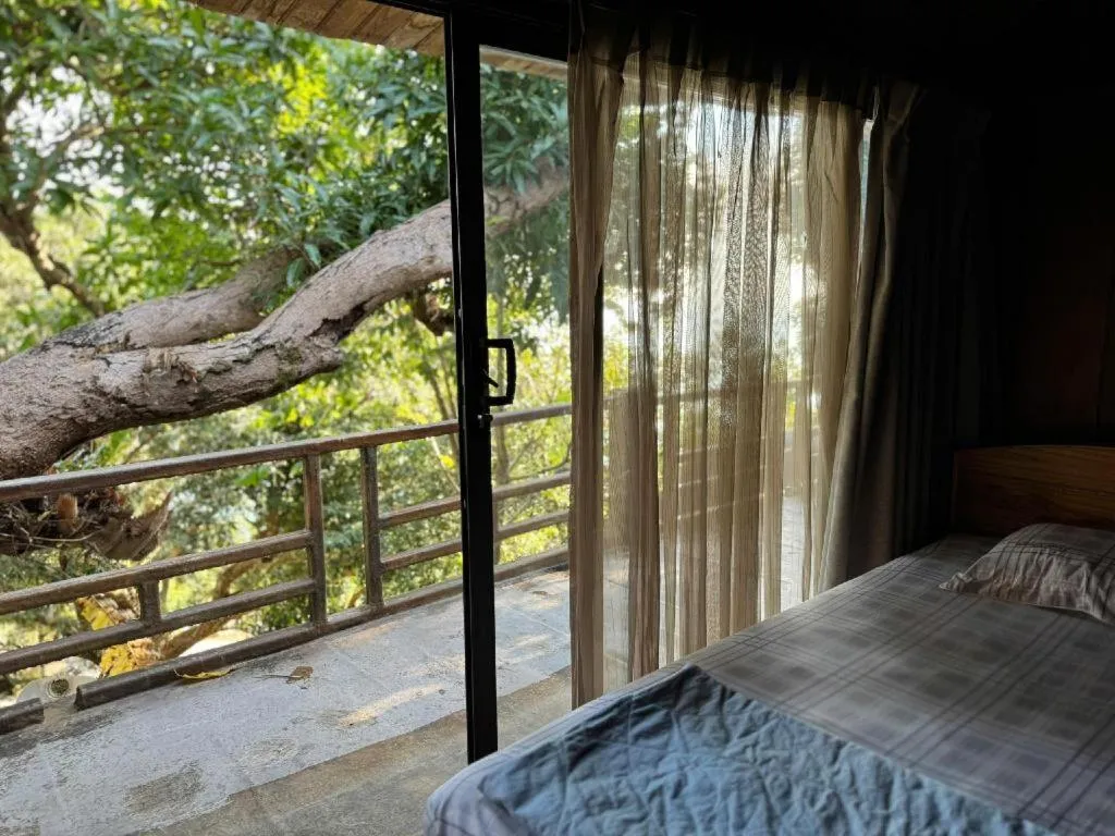 Bed in Mango House - Seaview - Homestay.