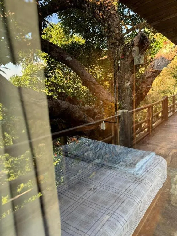 Mango House - Seaview - Homestay.