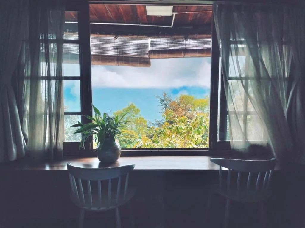 Mango House - Seaview - Homestay.