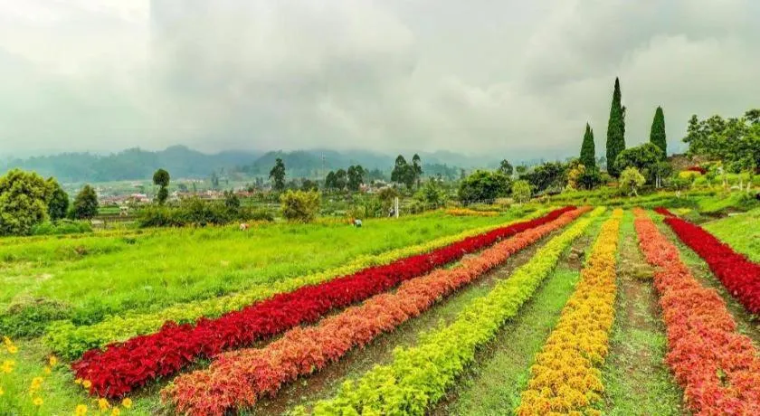 OYO Homes 90991 Eco Tourism Desa Panundaan Ciwidey 2 Syariah