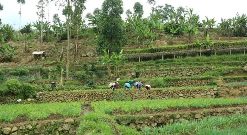 OYO Homes 90991 Eco Tourism Desa Panundaan Ciwidey 2 Syariah