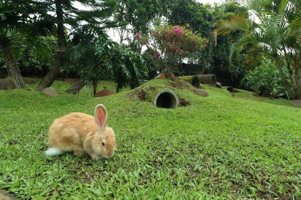 OYO Homes 90991 Eco Tourism Desa Panundaan Ciwidey 2 Syariah