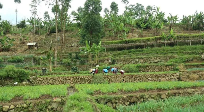 OYO Homes 90991 Eco Tourism Desa Panundaan Ciwidey 2 Syariah