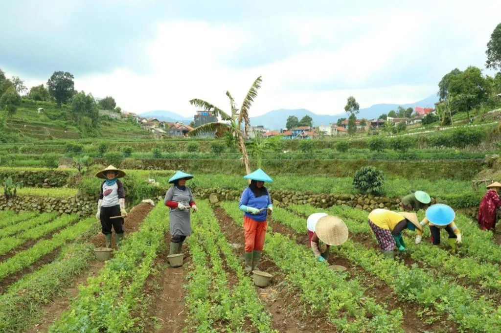 OYO Homes 90991 Eco Tourism Desa Panundaan Ciwidey 2 Syariah