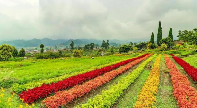 OYO Homes 90991 Eco Tourism Desa Panundaan Ciwidey 2 Syariah