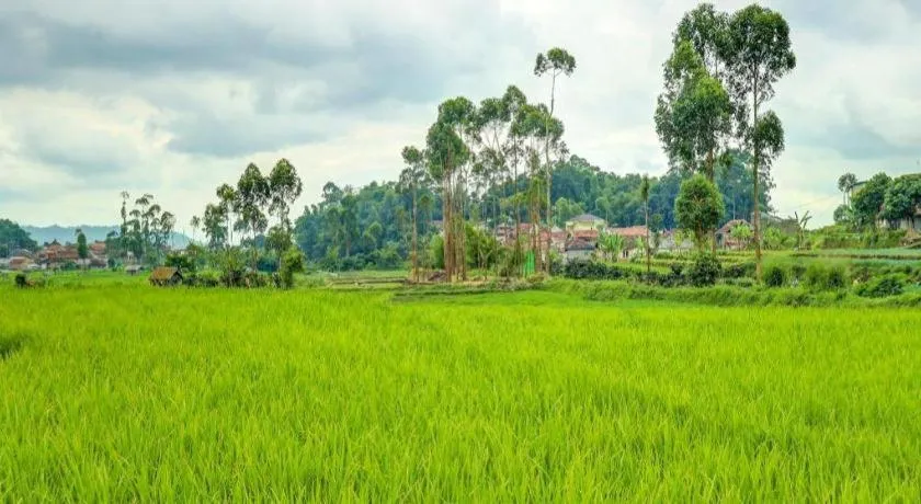 OYO Homes 90991 Eco Tourism Desa Panundaan Ciwidey 2 Syariah