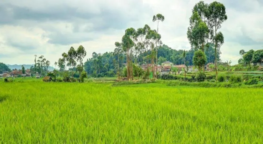 OYO Homes 90991 Eco Tourism Desa Panundaan Ciwidey 2 Syariah