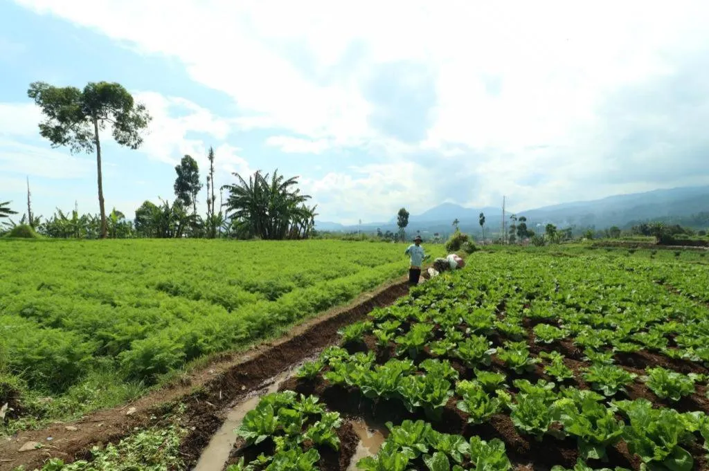OYO Homes 90991 Eco Tourism Desa Panundaan Ciwidey 2 Syariah