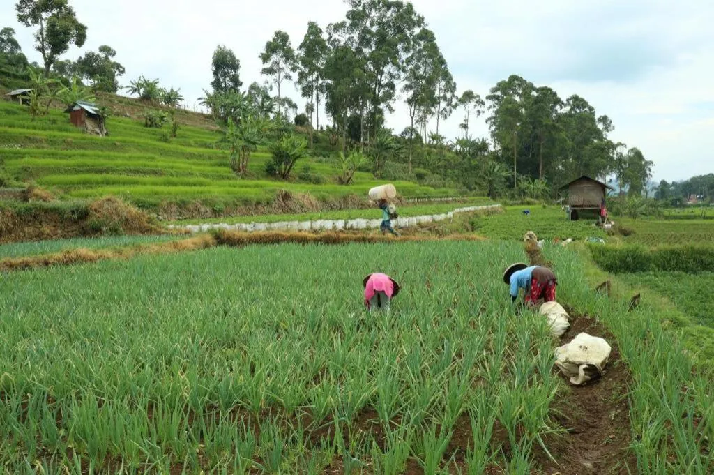 OYO Homes 90991 Eco Tourism Desa Panundaan Ciwidey 2 Syariah